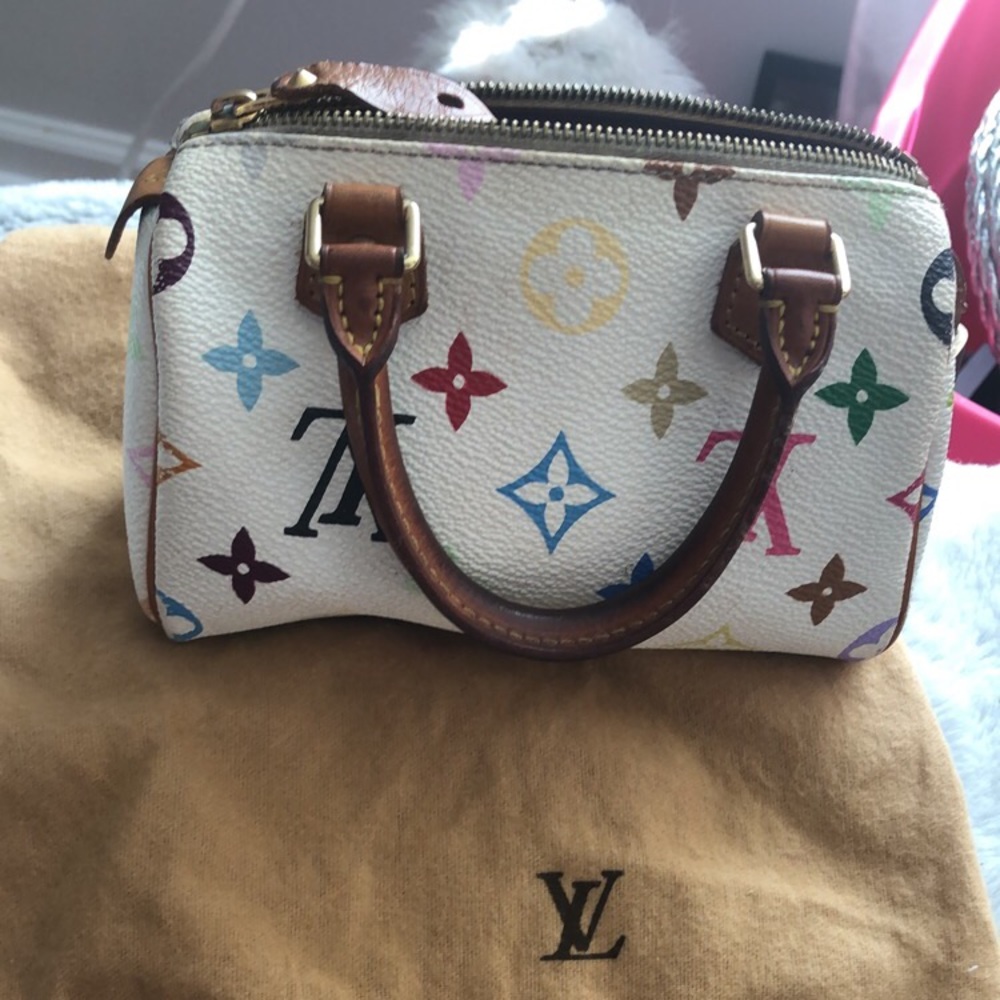 Louis Vuitton Multicolored Murakami Mini Speedy